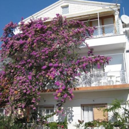 Apartman Graciela Perfect Location Gradac グラダツ エクステリア 写真