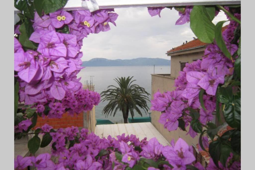 Apartman Graciela Perfect Location Gradac グラダツ エクステリア 写真