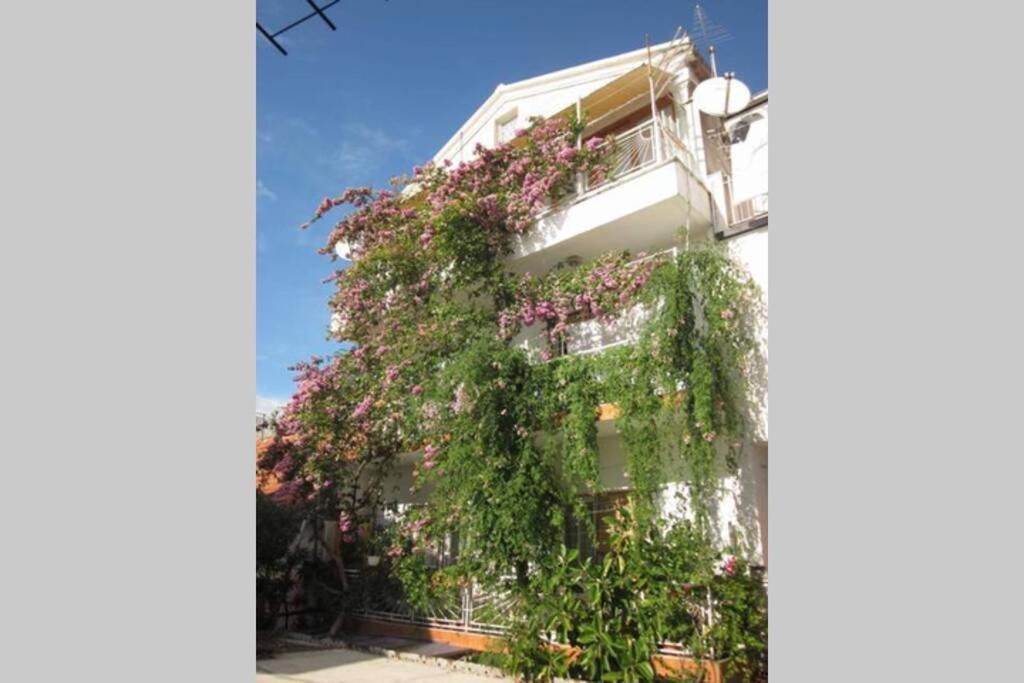 Apartman Graciela Perfect Location Gradac グラダツ エクステリア 写真