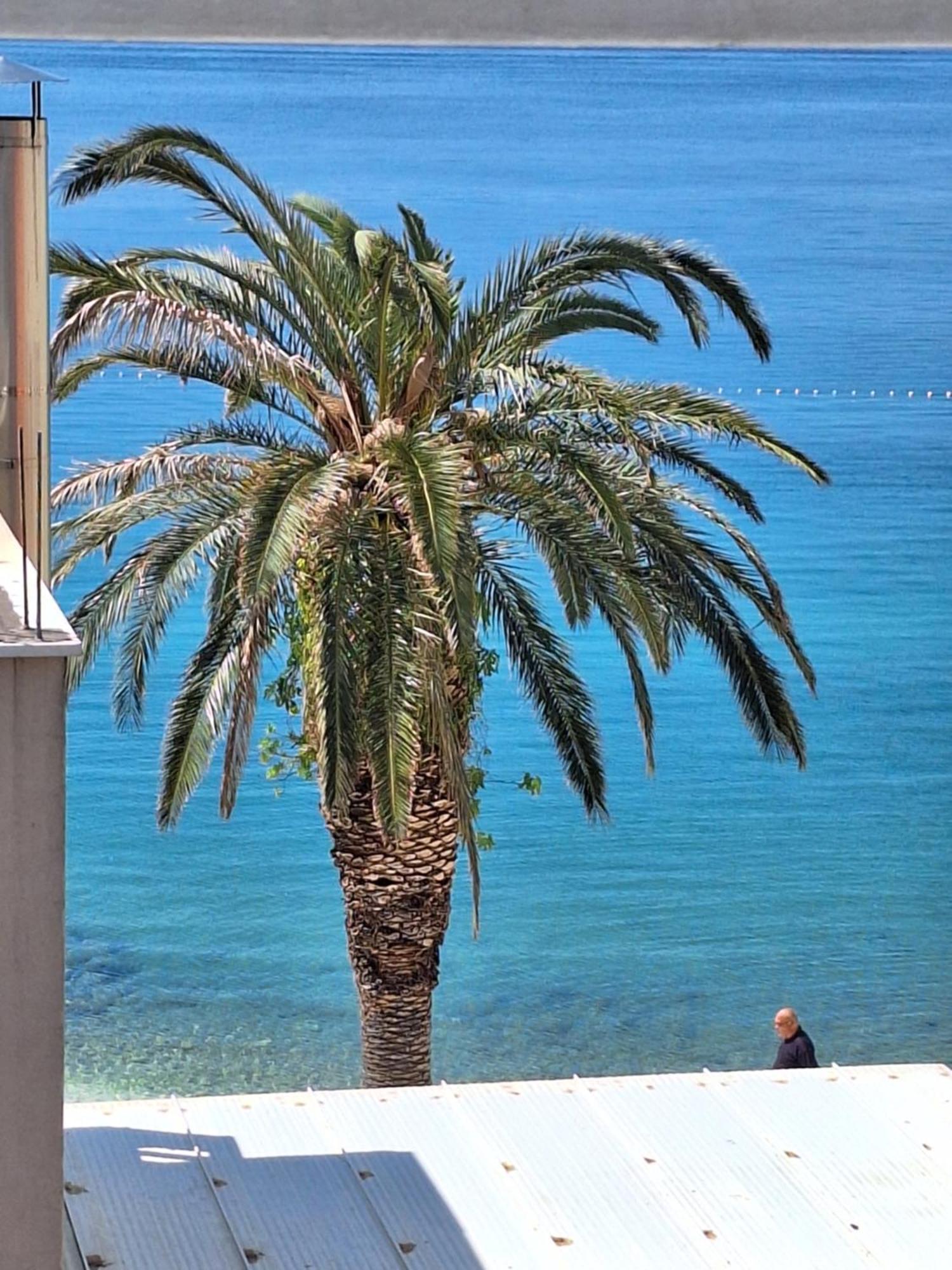 Apartman Graciela Perfect Location Gradac グラダツ エクステリア 写真